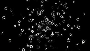 Abstract background with animation of flying white circles on black background, seamless loop. Animation. Monochrome rings of white color in 3d motion. video