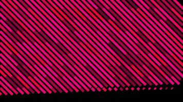 Abstract motion background with diagonal pink lines isolated on black background, seamless loop. Animation. Beautiful colorful narrow stripes with moving light impulse. video