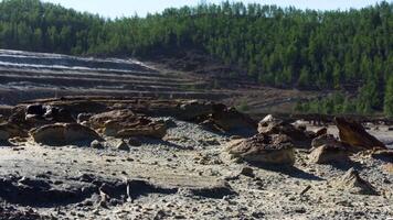 ghiaia cava con foresta su il sfondo. azione filmato. vecchio albero tronco e pietre a il cava su un' estate soleggiato giorno. video