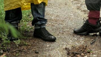 personas trekking en el bosque debajo el lluvia. valores imágenes. cerca arriba de masculino piernas en pie en el mojado bosque suelo con que cae lluvia gotas. video
