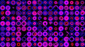 Abstract horizontal parallel rows of twinkling pink circles on black background. Animation. Futuristic background with small pink moving rings. video
