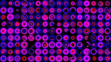 Abstract horizontal parallel rows of twinkling pink circles on black background. Animation. Futuristic background with small pink moving rings. video