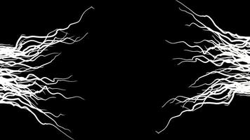 Abstract curving lines of white color moving slowly on black background, concept of spreading disease and death. Animation. Abstract monochrome progressive cancer illlness. video
