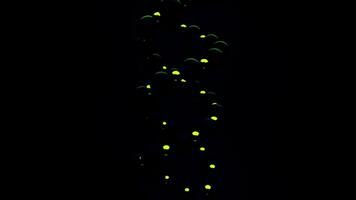 Abstract DNA double helix of dark green color rotating on black background, seamless loop. Animation. Concept of futuristic science and medicine. video