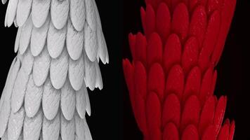 Abstract white and red wide tubes covered by shining bird feathers, seamless loop. Animation. Glowing oval shaped feathers covering bending contrast tubes. video