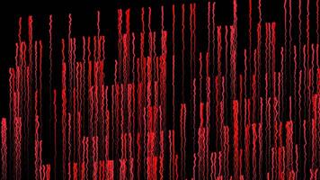 Abstract digital paint lines motion on black background, seamless loop. Animation. Drops of paint of red color or curving lines moving from bottom to top. video