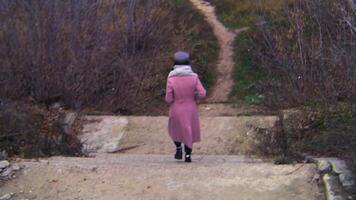 ver desde el espalda de mujer caminando en un camino en rosado abrigo, gris boina y bufanda en otoño nublado día. valores imágenes. de cerca, borroso ver video