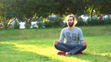 bello giovane uomo Meditare su verde erba. concetto. uomo seduta su fresco verde prato nel il città parco su un' estate soleggiato giorno e rilassante durante meditazione. video