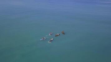 Tourists floating on SUP Board in blue sea. Clip. Top view of group of people on SUP-Boards floating in quiet clear sea. Summer vacation at sea with SUP boards video