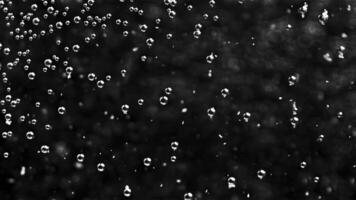 Transparent round bubbles of air flowing underwater on black background, seamless loop. Stock footage. Close up of tiny bubbles moving slowly. video