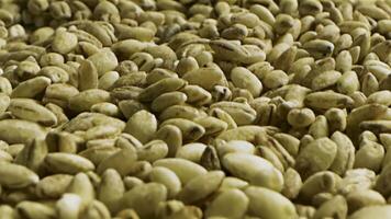 Close up of green coffee beans. Stock footage. Healthy food concept, a pile of premium Arabica green unroasted coffee beans lying on the flat surface. video