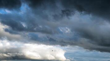 A bird flying against stormy clouds on a summer day. Concept. Bottom view of heavy beautiful clouds flowing in the blue sky before the storm or rain. video