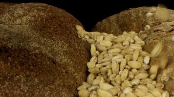 Fresh delicious bread isolated on black background. Stock footage. Close up of rustic rye loaf of bread with crispy crust and falling seeds, concept of healthy nutrition. video