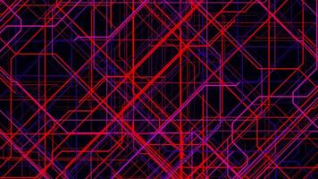 Colorful lines appear on black background and moving fast into all the sides. Animation. Narrow pink and purple beams forming complex abstract pipeline. video