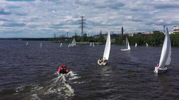 groep van klein jachten het zeilen Aan breed rivier- Aan een zonnig zomer dag. video. mensen van een jacht club hebben pret terwijl het zeilen aan de overkant de water reservoir. video