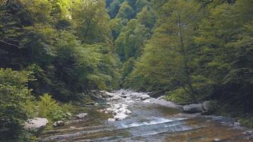 Natural landscape with mountains, forest and a river. Clip. Beautiful scenery with fast flowing wild river and wet stones, deciduous green forest. video