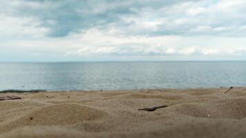 Close up of saandy shore of the lake on blue cloudy sky background. Concept. Summer landscape of the coastline of the river with ripples and soft sand. video