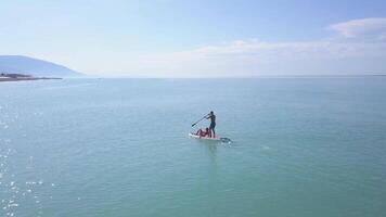 coppia galleggiante su tavola con pagaia. clip. superiore Visualizza di coppia di vacanzieri durante mare viaggio su sup-board. paesaggio marino con coppia impegnato nel sup-surf video