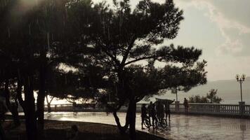 Beautiful embankment during summer rain at sunset. Concept. People hiding from rain while walking near large tree on cloudy sky and sea background. video