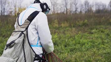 Man with parachute on ground. Action. Close-up of man in overalls collecting ropes from parachute after landing. Man fumbles with parachute after jump. Extreme sports and skydiving video