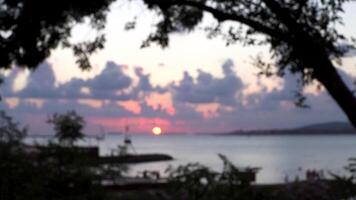 cerca arriba de manos levantamiento rojo vino lentes en el playa durante atardecer, celebracion o fecha concepto. medios de comunicación. masculino y hembra manos con vino lentes en un romántico atmósfera por el mar. video