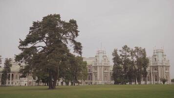 de stor palats i tsaritsyno parkera i moskva med grön gräsmatta. handling. Fantastisk grön parkera och de historisk byggnad under tung moln i dimmig väder. video