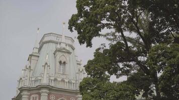 Bottom view of a beautiful white historic building on cloudy sky background. Action. Green tree is growing near a stunning palace, concept of architecture and history. video