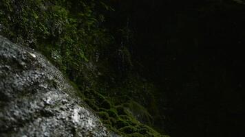 cubierto de musgo montaña Pendiente con gotas de agua que cae abajo. creativo. entrar dentro un oscuro grande cueva. video