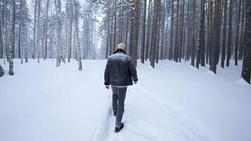 elegante joven hombre caminando en invierno bosque. medios de comunicación. posterior ver de hombre caminando en invierno bosque. caminando a lo largo camino con que cae nieve en invierno bosque video