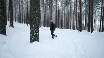 homem anda em elegantemente dentro inverno floresta. meios de comunicação. elegante tiro do à moda homem caminhando dentro inverno floresta. inverno moda tiroteio dentro floresta video