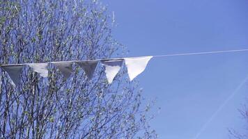 petit triangulaire drapeaux pendaison sur une corde et flottant dans le vent. agrafe. blanc drapeaux sur le Contexte de chauve bouleau des arbres et bleu ciel. video