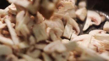 friture poulet Viande avec champignons dans une friture poêle. concept. femme en train de préparer délicieux blanc poulet rencontrer avec champignons. video