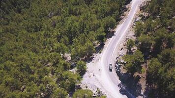Aerial view over mountain road going through forest at National Park. Clip. Summer landscape with a bending road and green trees in a hilly region. video