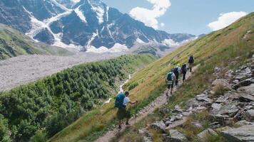 Active tourists go to mountains on sunny day. Clip. Tourists make ascent on hiking trails in mountains. Tourists go to mountains with sticks on background of snowy mountain peaks on sunny day video