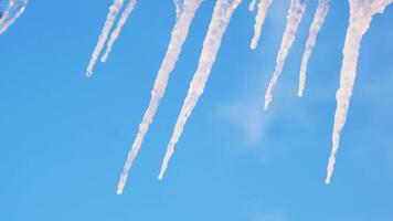 Climate change and temperature rising. Concept. Close up of symbol of early spring, melting icicles with falling drops of water on blue sky background. video