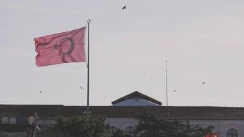 turco bandera balanceo en el viento en contra un claro azul cielo. acción. rojo bandera de Turquía ondulación encima el edificio y verde arboles video