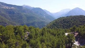 mozzafiato naturale paesaggio con foreste colline e nebbioso tempo atmosferico. clip. autunno montagne con versante coperto di verde erba e arbusti. video