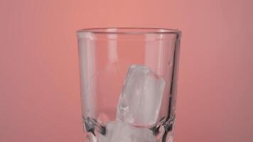 Close up of ice cubes falling into a cocktail empty glass isolated on pink background. Action. Making a cocktail with ice. video