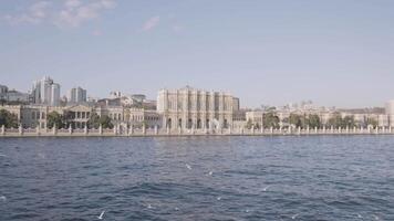 lindo panorama do uma rio com pequeno ondas e muitos pássaros vôo fechar para a água superfície. Ação. verão cidade localizado de a rio. video