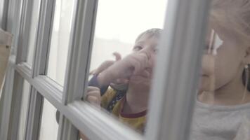 Little children boy and girl standing behind the door with glass inserts. Action. Sister and brother standing excited together behind the doorLittle children boy and girl standing behind the door with video