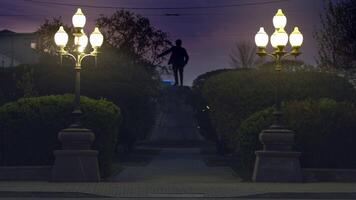 achterzijde visie van een monument in de naam van jakov sverdlov in Ekaterinenburg, Rusland. voorraad filmmateriaal. laat avond in de straat met groen steeg en straat lantaarns leidend naar de beeldhouwwerk. video