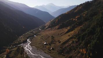 Lush forest and cliffs in a morning fog. Action. Aerial view of a beautiful stream flowing on mountain trail among green hills. video