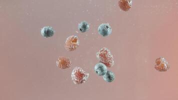 Close up of raspberries and blueberries splashing into water on light pink background. Action. Fresh and sweet berries covered by small bubbles of air moving underwater. video