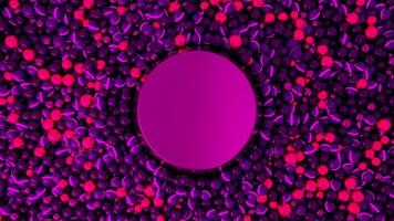 3D pile of colorful spheres rolling and flying up. Animation. A glossy round shaped figure drowning in dark purple and pink tiny balls pool. video