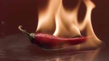 Close up of red hot chili pepper in fire flame isolated on red background. Stock footage. Concept of vegetarian food cooking. video