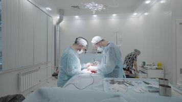 Operating room during operation with two surgeons. Action. Side view of operation under anesthesia by two surgeons. Professional surgeons in process of operating video