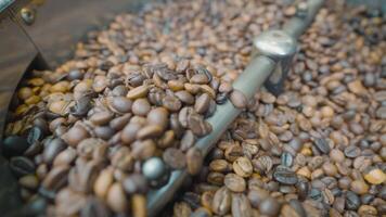 Close-up of coffee beans stirred and roasted. Action. Special machine mixes coffee beans for thermal processing. Roasting coffee in machine video