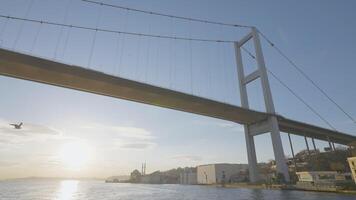 schön Suspension Brücke auf Himmel Hintergrund. Aktion. Aussicht von unten von hoch Brücke Über Bosporus Straße. schön Suspension Brücke mit fliegend Möwen auf klar Himmel Hintergrund video