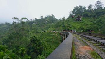 turistas caminar en puente con ferrocarril en selva. acción. excursionismo a lo largo antiguo Roca puente en selva. hermosa paisaje desde puente en colinas de verde selva video