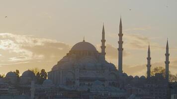 lindo Visão do majestoso mesquita em fundo do alvorecer. Ação. antigo mesquita torres sobre área do Istambul em fundo do crepúsculo. lindo mesquita às crepúsculo. Istambul turista atrações video